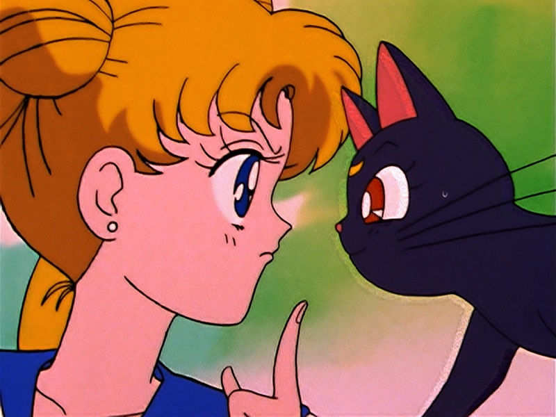 ©Naoko Takeuchi/PNP, Toei Animation