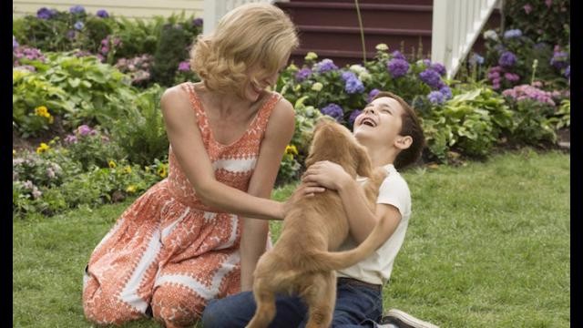 a-dogs-purpose-ss2