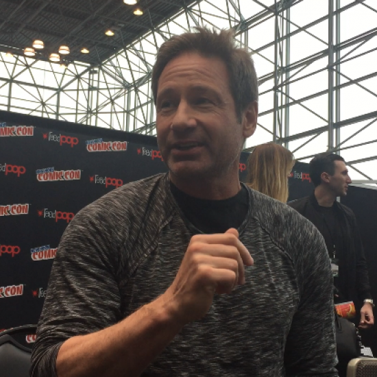 David Duchovny At New York Comic Con