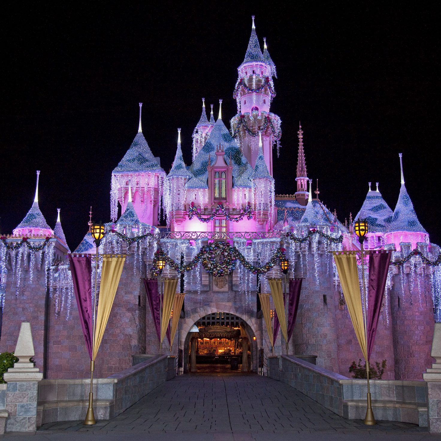 Disneyland 2017 Holiday