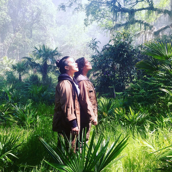 Annihilation Review: 5/6ths of a Masterpiece