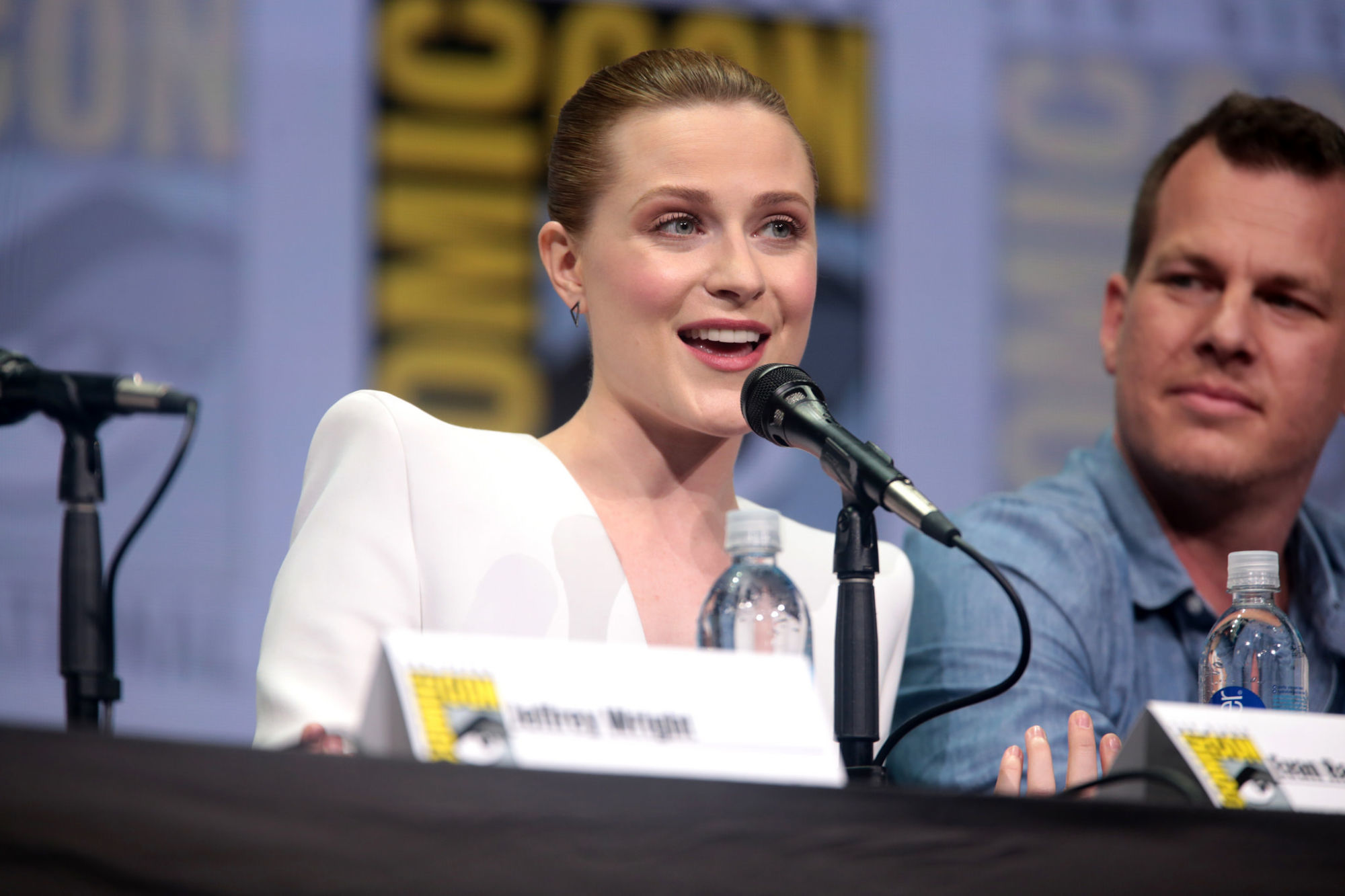 Evan Rachel Wood and Sterling K Brown May be Joining 'Frozen 2'