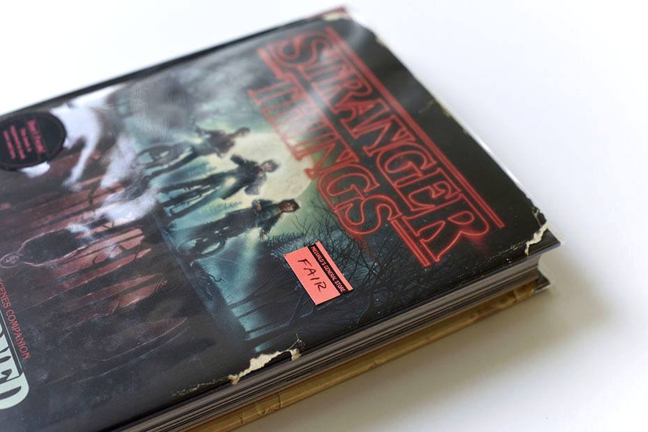 'Stranger Things' Companion Book Available Today!