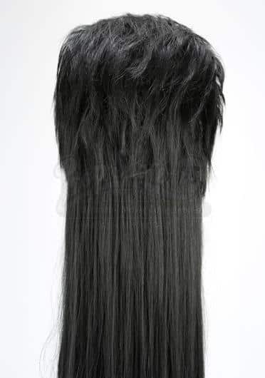 Wanna Buy Elvira Mistress of the Dark's Dress AND Wig at Auction?