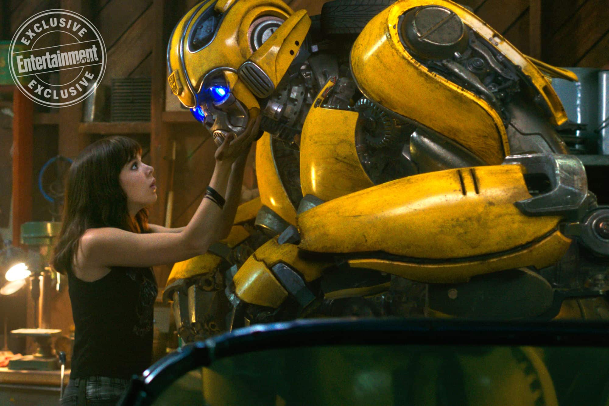 Bumblebee Still