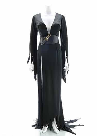 Wanna Buy Elvira Mistress of the Dark's Dress AND Wig at Auction?