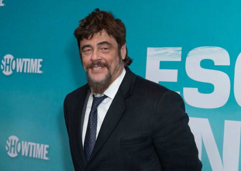 Benicio del Toro Will Play Swiper in ‘Dora The Explorer’