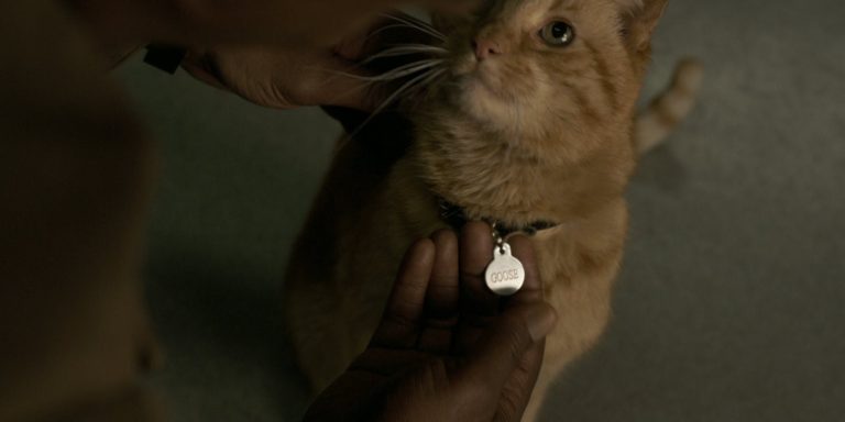 Kelly Sue DeConnick Says Captain Marvel’s Cat Goose is Female!
