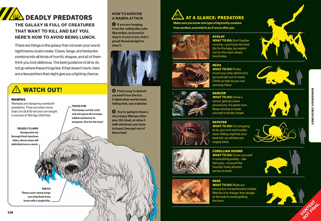 Important 'Star Wars' Information: How NOT To Get Eaten By Ewoks