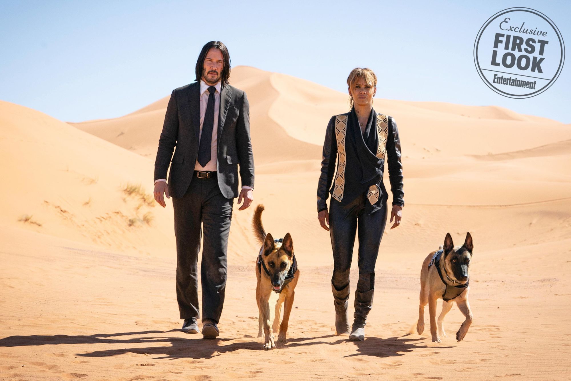 Halle Berry Deserves All the 'John Wick: Chapter 3- Parabellum' Praise