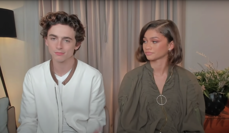 Did You Know Timothée Chalamet Auditioned for Spider-Man?