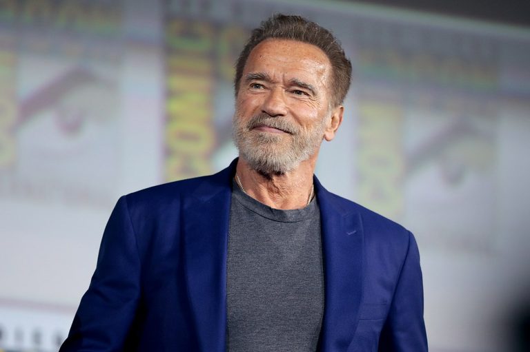 Netflix Announces Arnold Schwarzenegger Spy Series, Casting Details