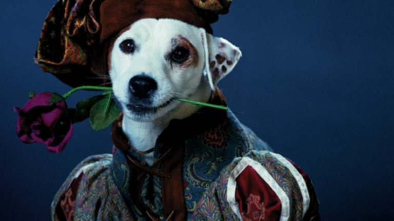 What’s the Story: “Wishbone” Movie Coming!