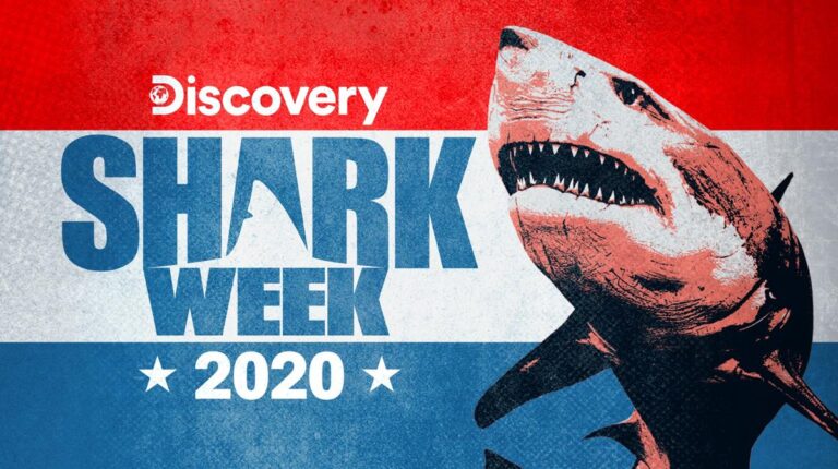 Discovery Channel’s Annual Shark Week Starts This Sunday!